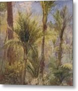 New Zealand Forest Metal Print