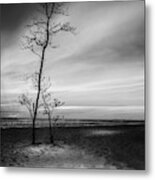 Night Fall Metal Print