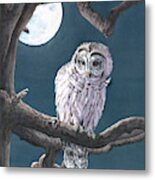 Night Watch - Barred Owl Metal Print