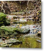 North Wears Creek Landscape Metal Print