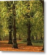 Nottinghamshire, England, Uk, Clumber Metal Print