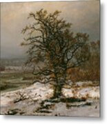 Oak Tree By The Elbe In Winter. Artist Metal Print
