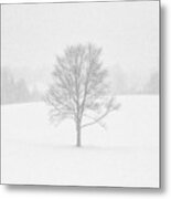 Ohio Winter Whiteout 1 Metal Print