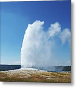 Old Faithful Erupting Under A Blue Sky Metal Print