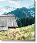 Old Wooden Hut In Spring High Tatras Metal Print