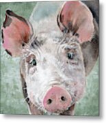 Olive, Pig Portrait Metal Print