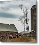 On The Farm Metal Print