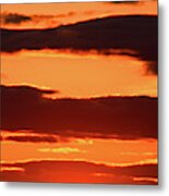 Orange And Black Metal Print