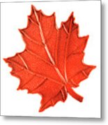 Orange Maple Leaf Metal Print