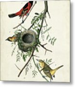 Orchard Orioles Metal Print