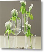 Orchids In Glasses Metal Print