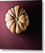 Organic Pumpkin Metal Print