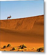 Oryx On The Dune, Namibia Metal Print