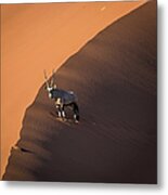 Oryx On The Edge, Namibia Metal Print