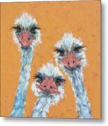 Ostrich Sisters Metal Print