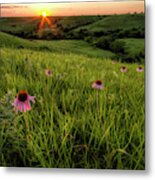 Out In The Flint Hills Metal Print