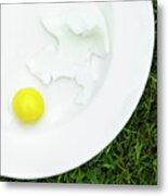 Overhead View Of Boiled Egg On White Plate With Separated Egg Yolk And White Metal Print