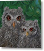 Owls Eyes Metal Print