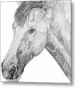 Paint Horse Portrait Metal Print