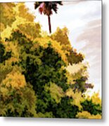Palm Above The Trees Metal Print