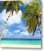 Palm Trees At A Tropical Beach In The Metal Print