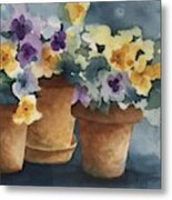 Detail Of Pansy Pots Metal Print