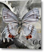 Papillon Metal Print