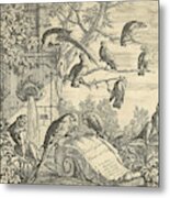 Parrots And Monkeys At A Garden Fountain Metal Print