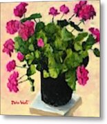 Patio Geranium Metal Print