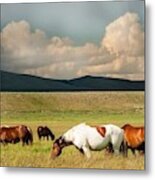 Peace Before The Storm Metal Print