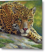 Peaceful Jaguar Metal Print
