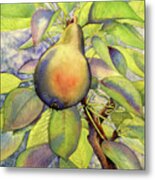 Pear Of Paradise Metal Print