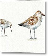 Pebbles And Sandpipers I No Words Border Metal Print