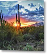 Tucson, Arizona Saguaro Sunset Metal Print