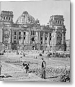 People Planting Potatoes In Field Metal Print