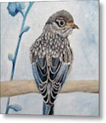 Perked And Perched Metal Print