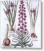 Persian Lily And Irises Metal Print