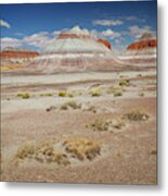 Petrified Forest 20 Metal Print