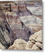 Petrified Forest 24 Metal Print