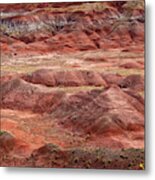Petrified Forest 4 Metal Print
