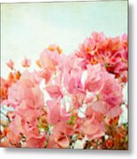 Pink Chiffon Metal Print