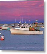 Pink In Plymouth Metal Print