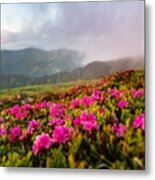 Pink Rhododendron Flowers In Mountains Metal Print