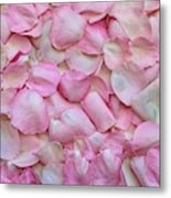 Pink Rose Petals Metal Print