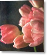 Pink Tulip Bouquet Metal Print