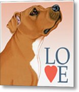 Pitbull Love Metal Print