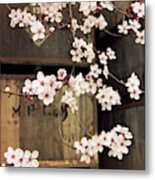 Plum Blossoms And Apple Boxes Metal Print