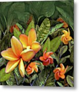 Plumeria At First Light Metal Print