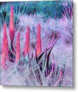 Poker Plants In Pinks And Blues Metal Print