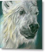 Polar Bear Portrait Metal Print